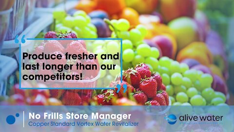 No Frills Store Manager Case Study