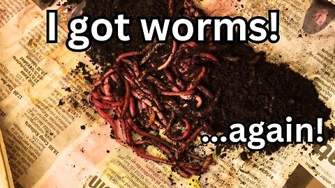 worms again