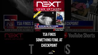 TSA FINDS SOMETHING FOWL AT CHECKPOINT #shorts