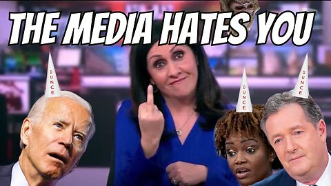 THE MEDIA HATES YOU