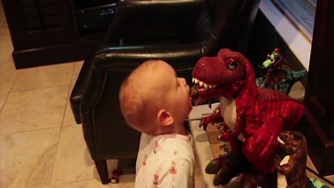 Tot Boy Picks Up A Fight With T-Rex