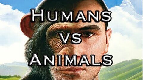 What is the Difference Between Humans & Animals - Have We Lost our Humanity?