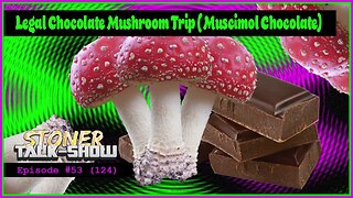 Legal Chocolate Mushroom Trip (Muscimol) - Stoner Talk Show Episode #53 (124)
