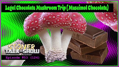 Legal Chocolate Mushroom Trip (Muscimol) - Stoner Talk Show Episode #53 (124)