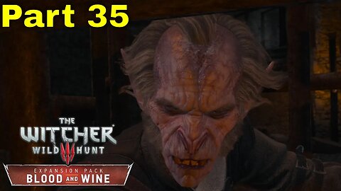 LA CAGE AU FOU | The Witcher 3: Wild Hunt Next Gen Playthrough #35