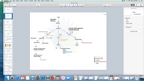 Cancer Genes - Section 2 - Energy Genes | Dr. Kevin Conners - Conners Clinic