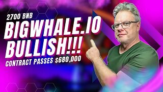 BigWhale.io Update - 0.8-2% Daily - $680,000 in the Contract!!!