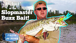 Debut of the Buzz Bait! | MUSKY | Fishing With Joe Bucher RELOADED