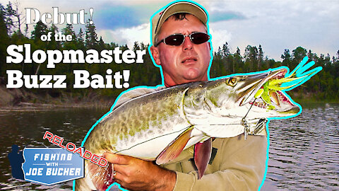 Debut of the Buzz Bait! | MUSKY | Fishing With Joe Bucher RELOADED