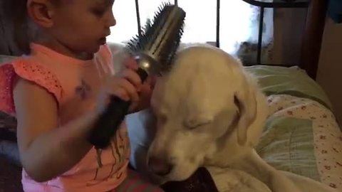 Sweet little girl pampers her canine friend