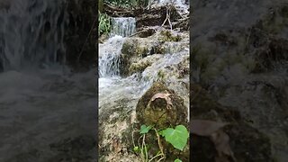 ASMR Beautyful River in the Woods #asmr #woods #river