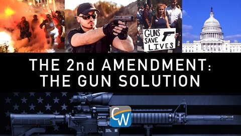 The 2nd Amendment: The Gun Solution