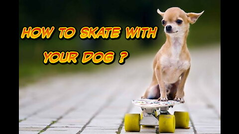 How to Skate With your Dog, Watch This BEFORE Skating With Your Doggo