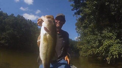 Bass attack on the Nolichucky River