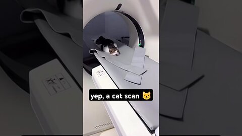 Cat Scan.