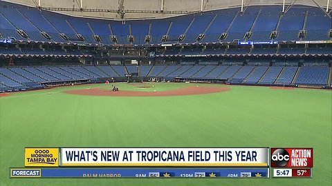 Rays Opening Day: No cash accepted and new hangouts among changes for 2019 at Tropicana Field