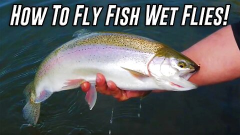 How To Catch Trout Fly Fishing With Wet Flies In Lakes & Ponds