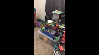 DIY hamster home & maze