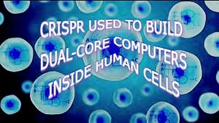 DUAL-CORE COMPUTERS INSIDE HUMAN CELLS