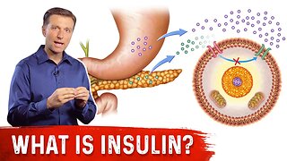 What Is Insulin? – Dr. Berg