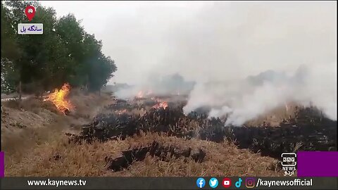 سانگلہ ہل کےعلاقوں میں فصلوں کی باقیات کو آگ لگانے کا سلسلہ نہ تھم سکا،تفصیلات بتا رہے عثمان غنی