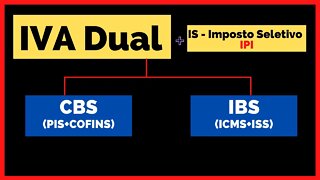 Reforma Tributária |Imposto Dual | IBS | Possíveis Desdobamento no Futuro