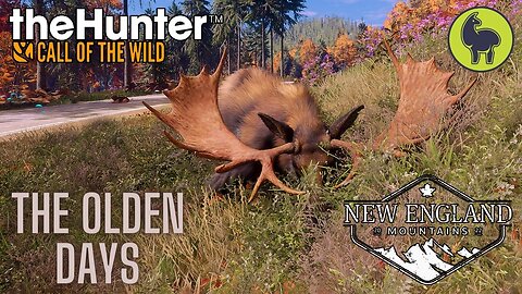 The Olden Days, New England Mountains | theHunter: Call of the Wild (PS5 4K 60FPS)