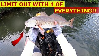 Limit Out on REDS and TROUT in 1 HOUR Fishing Tampa Bay