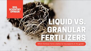 LIQUID VS. GRANULAR FERTILIZERS FOR PLANTS. THE BEST FERTILIZER FORMS FOR HOUSEPLANTS AND GARDEN🚨