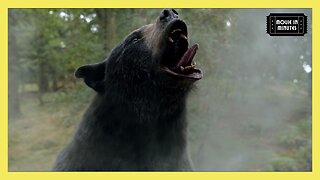 Bear Eats 50 KILOS Of Cocaine And Becomes The Apex Predator!