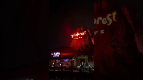 Rainforest Cafe 🌋 #disneysprings #volcano #disneyworld #shorts #rainforestcafe #disneyrestaurant