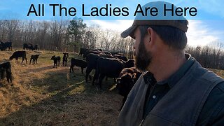 All The Ladies Are Here