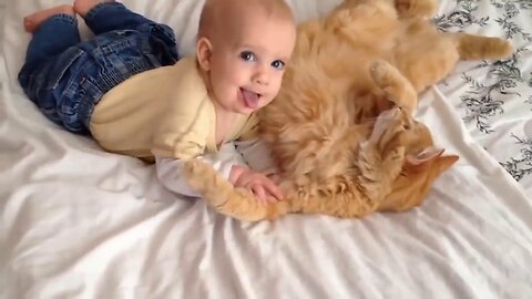 Top 10 Best Cats Meeting Babies for the First Time.