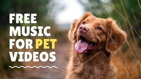 Background Music for Dogs videos