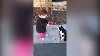 Girl Gives Cat A Sweet Gift