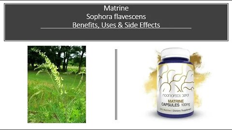 Matrine - Sophora flavescens - Benefits, Uses & Side Effects