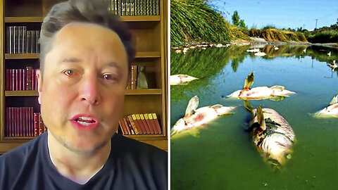 Elon Musk Warns They're Poisoning Our Water Heavily