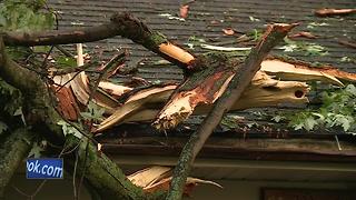 Trees damage houses, cars in Pulaski