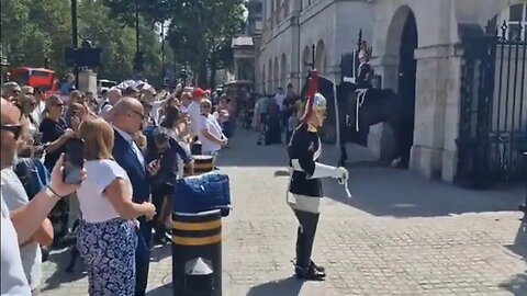 This dog did not like the kings guard stamping his foot #horseguardsparade