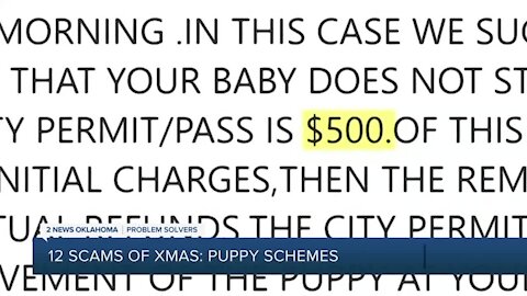 12 Scams of Christmas, Day 9: puppy scams