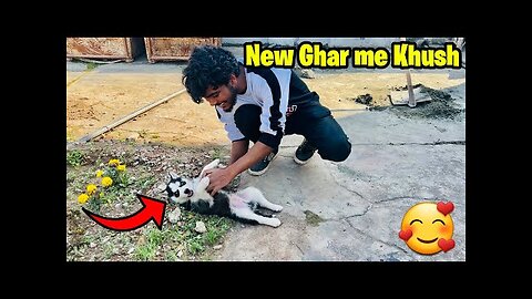 Hmara pet new Ghar ma khush hein new vlog