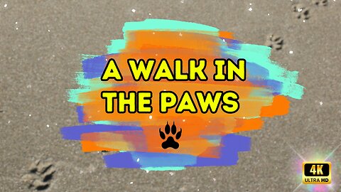 A Walk in the Paws. 🐾🏋️‍♂️ #fitWithFurballs #dogWalkingChallenge