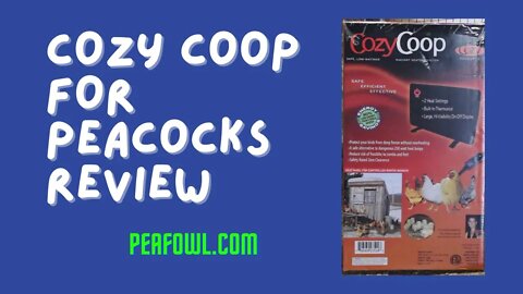 Cozy Coop For Peacocks Review, Peacock Minute, peafowl.com