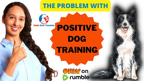 Positive Reinforcement Dog Training Problems