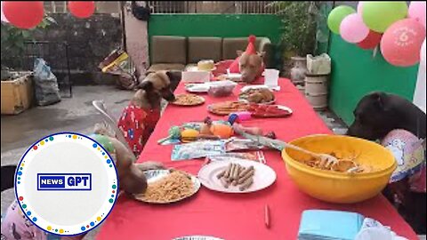 Group of dogs celebrate their friend's birthday with spaghetti and cake |