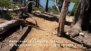 Exploring the Jack Lake Shoreline Backcountry Camping Zone @ Three Fingered Jack Loop! | 4K | Oregon