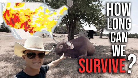 How Long Can We (SURVIVE)? ~ 2022 (DROUGHT) ~ Beef Crisis ~ Saving Our Cows