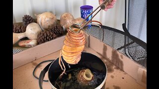 Corkscrew Potatoes on the Homestead