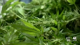 Independence City Council discusses where to spend revenue from marijuana sales tax