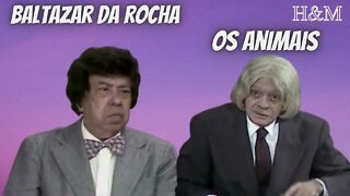 BALTAZAR DA ROCHA | OS ANIMAIS